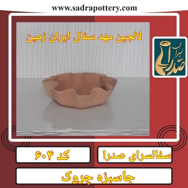 تصویر کد۶۰۴ جاسبزه چروک